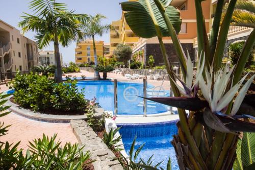 Palm-Mar Apartamento | A Home From Home