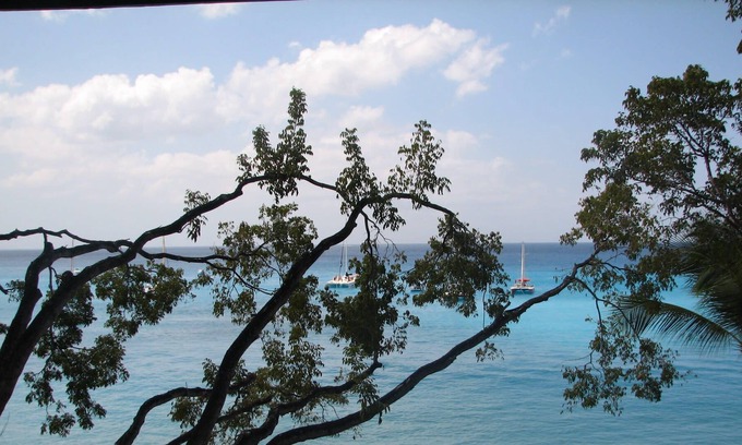 Old Trees Bay Villa | Un lujoso apartamento de tres dormitorios y tres baños