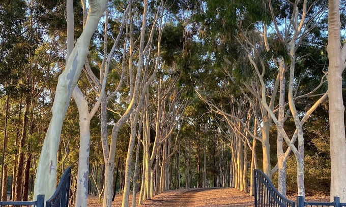 Margaret River Cabina | A Peaceful Retreat Nestled on the Banks of the Margaret River