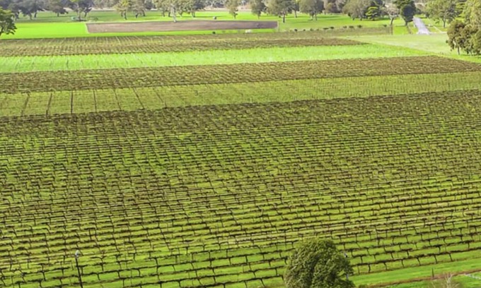 Penola Casa | A Penola-Coonawarra Villa