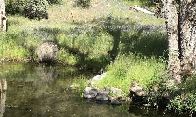Mariposa Otro | A Place for Family Fun Horses welcome