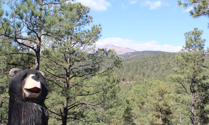 Ruidoso Cabina | A playful cabin nestled above the tall pines