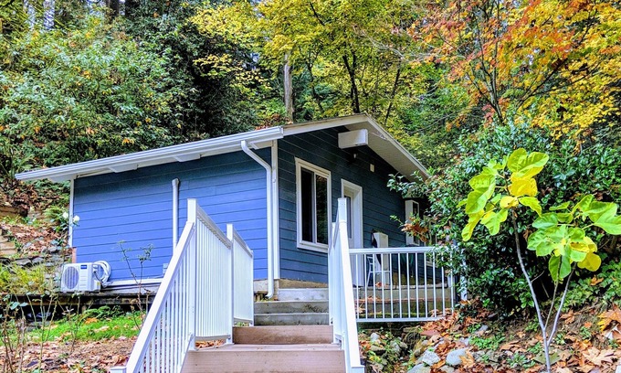 Lake Forest Park Cabina | Pequeña casa privada recién renovada rodeada de árboles.