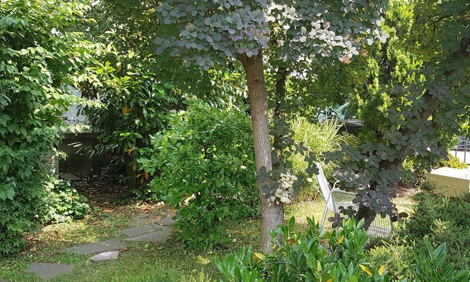 Pennenfeld Casa | A&S Ferienwohnungen Koblenzer Strasse