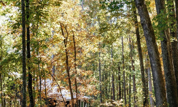 Rome Cabaña | A secluded haven on 5,000 acres in NW Georgia, just 45 minutes from Atlanta and Chattanooga, and a quick 10-minute drive to downtown Rome. Explore private trails along the Etowah river, bask in wildlife, and gaze at mesmerizing stars. Your perfect es
