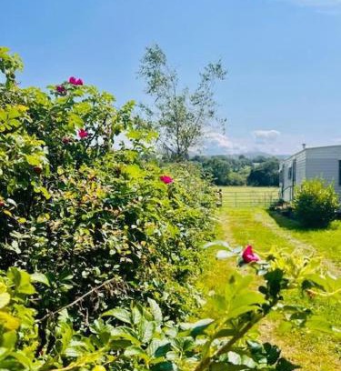 Bont Newydd Chalet De Esquí | A static haven