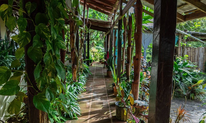 Peñas Blancas Casa | Una experiencia única en la selva tropical entre jardines mágicos y selva tropical.