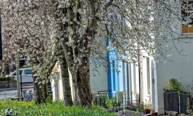 Oxford Casa | A Very British Place to Stay - 3 Bedrooms Central