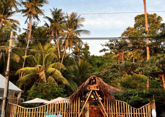 San Juan Cama Y Desayuno | AA Jungle Guesthouse