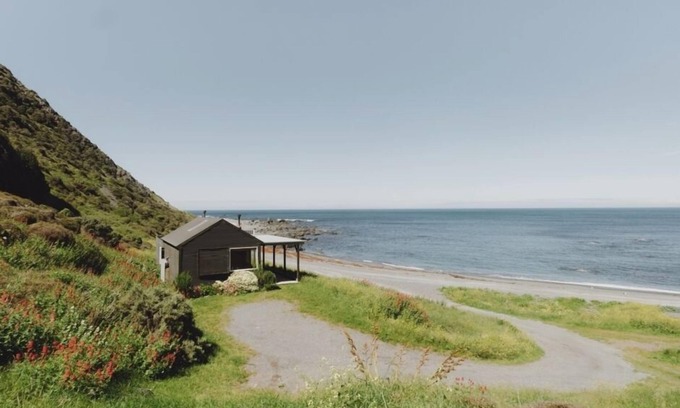 Wellington Cabina | Abigail Bay Bach Wellington