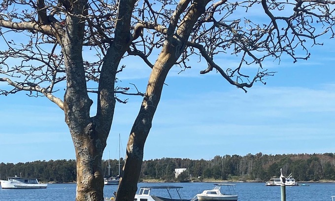 Shoalhaven Heads Cabina | Absolute Waterfront - Lorsens On The River - 3 x 2 bedroom cabins