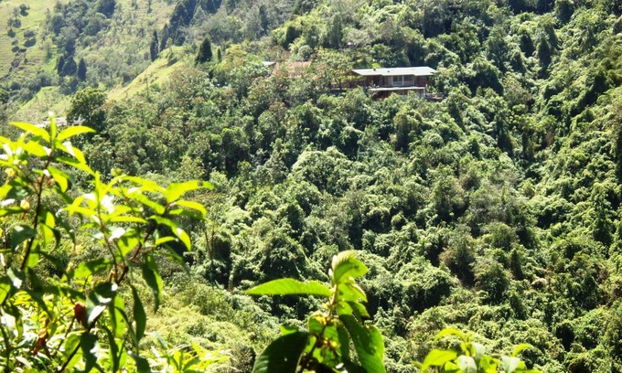 Calacali Cama Y Desayuno | Naturaleza abundante y pacífica en las cercanías de Quito