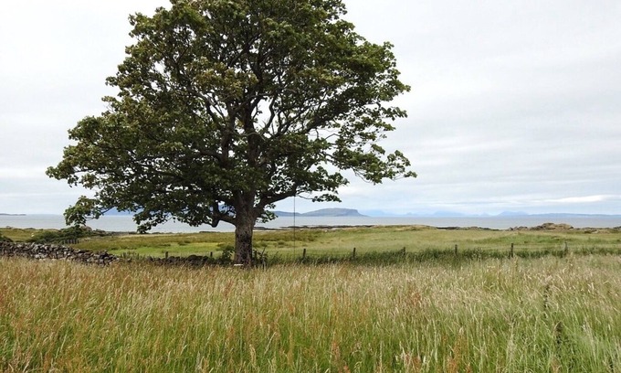 Ardnamurchan Peninsula Cabaña | Achateny Cottage, 200m From a beautiful sandy Beach.