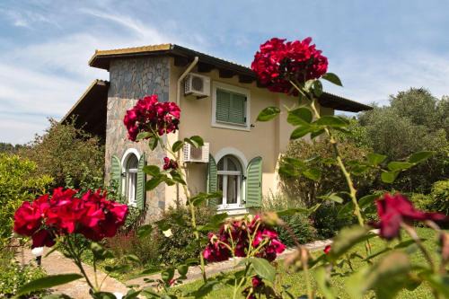 Corfu Casa | Achilles Country House