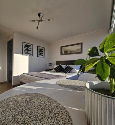 Concepcion Apartamento | Acogedor Departamento Estudio