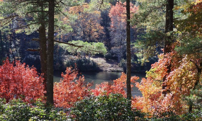 Lake Sequoyah Casa | Acorn Cabin - Close to Town