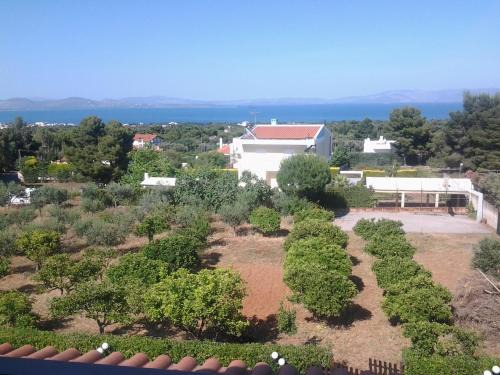 Nea Makri Apartamento | Adam's Farm Loft - Airport shuttle available!