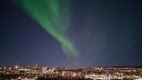 Trondheim Apartamento | Adorable 1-bedroom apartment with a fantastic view - Free Parking
