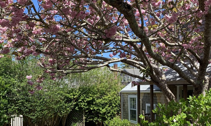 Nantucket Town Casa | Adorable Cottage on West Dover-Town