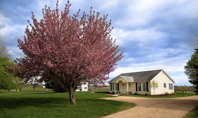Forest Cabaña | Adorable Manor Cottage on West Manor Estate in Forest, Virginia.