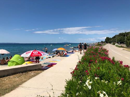 Novalja Apartamento | Adriatic House