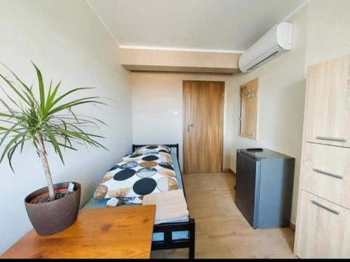 Ujazd Apartamento | AE BERG Apartamenty