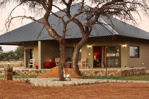 Gobabis Cabina | Africa Awaits Lodge & Safaris