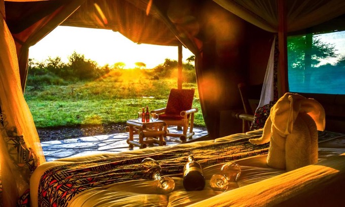 Serengeti National Park Cabina | Africa Safari Serengeti Ikoma