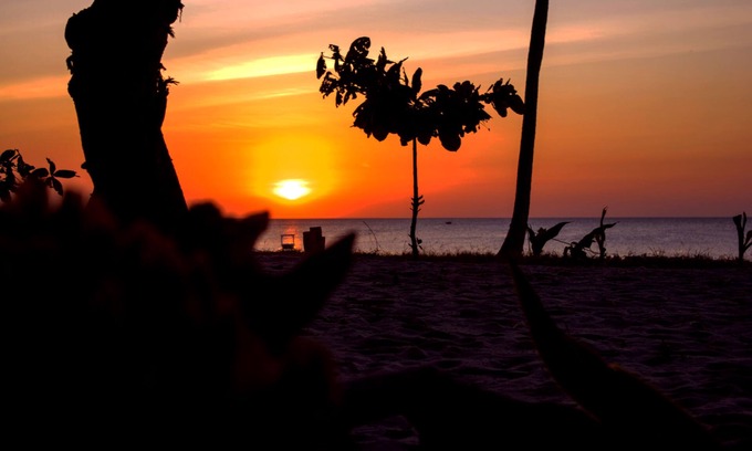 Mafia Island Cama Y Desayuno | Afro Beach Bungalows y Afro Whale Shark Shark propiedad y propiedad de la comunidad local