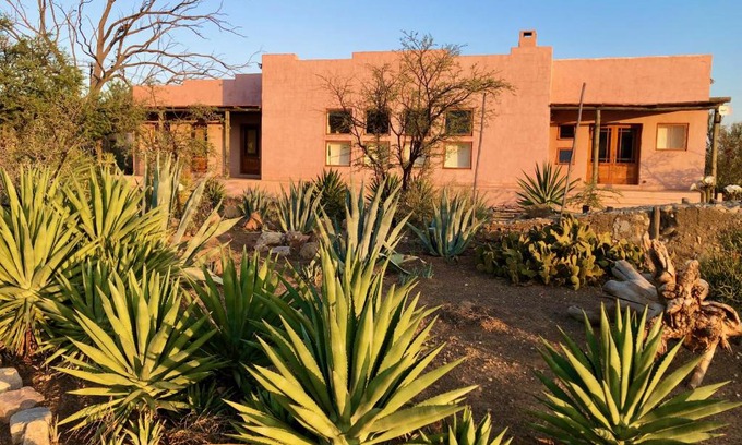 Prince Albert Casa | AGAVE HOUSE