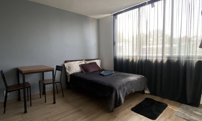 Ixtacalco Apartamento | Agradable/comodo/centrico apartamento en CDMX (#6)