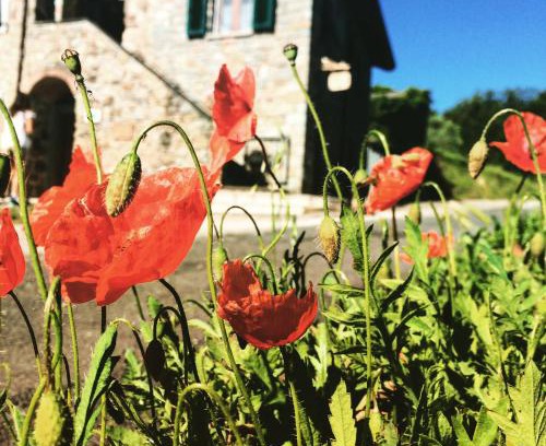 Beverino Cama Y Desayuno | Agriturismo Angiò nel Cerè