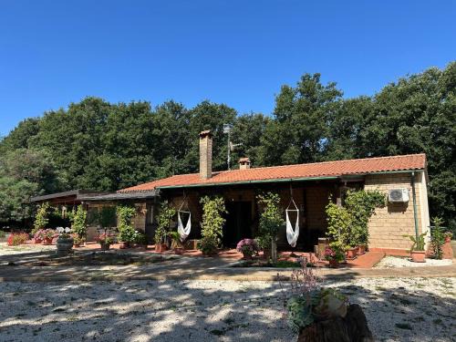 Sorano Casa | Agriturismo Antiglia