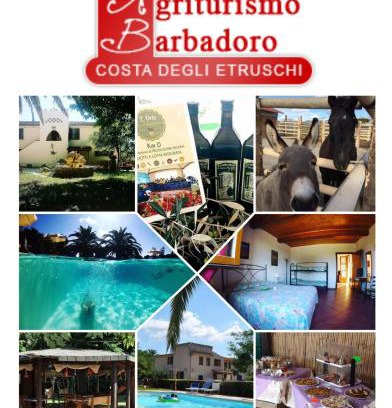 San Vincenzo Casa | Agriturismo Barbadoro