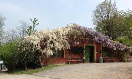 San Nicolo Casa | Agriturismo Cascina degli Ulivi