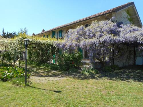 Mango Casa | Agriturismo Cascina Serra