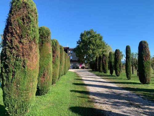 Pescantina Apartamento | Agriturismo Corte Bonetti - Appartamento Il Salice