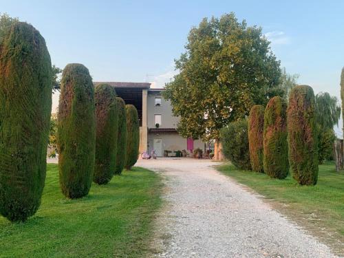 Pescantina Apartamento | Agriturismo Corte Bonetti - Il Platano
