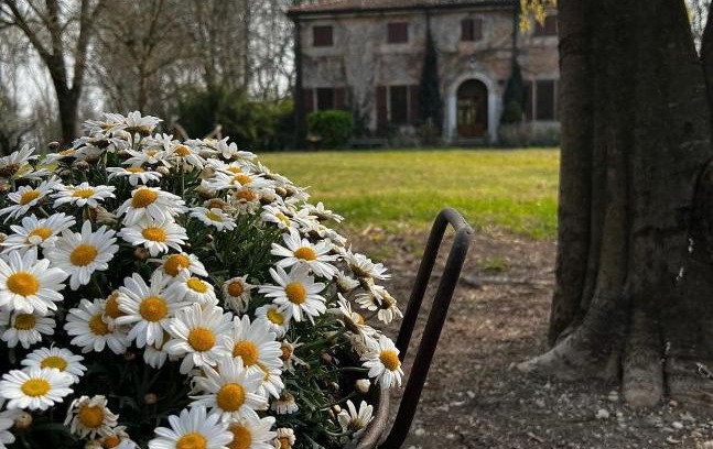 Mantua Casa | Agriturismo Corte San Girolamo