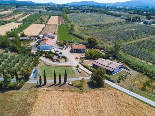 Bibbona Casa | Agriturismo Ferri
