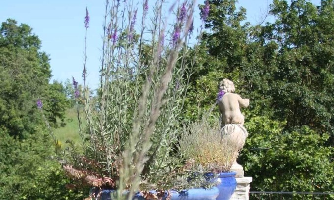 Pieve Santo Stefano Otro | agriturismo il capannino