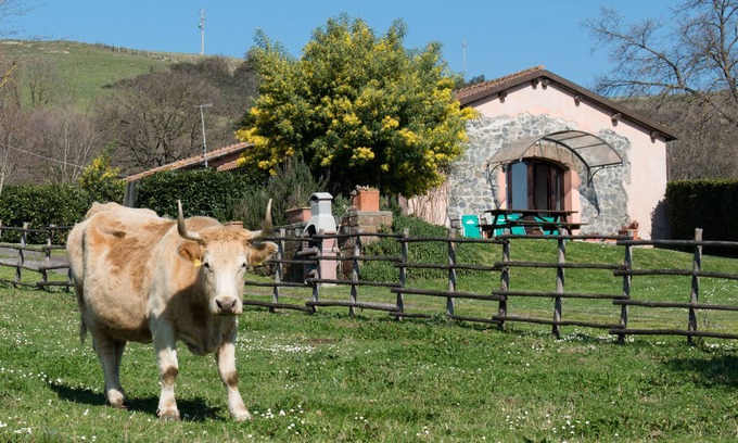 Zona LIX Polline Martignano Otro | Agriturismo Il Castoro