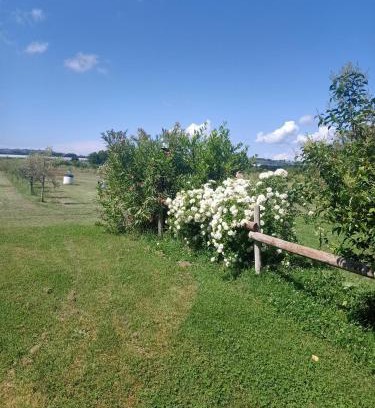Rosignano Marittimo Casa | Agriturismo Il Cipresso