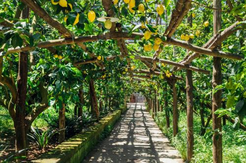 Marina di Puolo Casa | Agriturismo Il Giardino di Vigliano