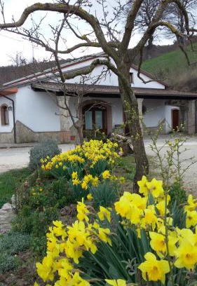 Baselice Casa | Agriturismo Il Regio Tratturo