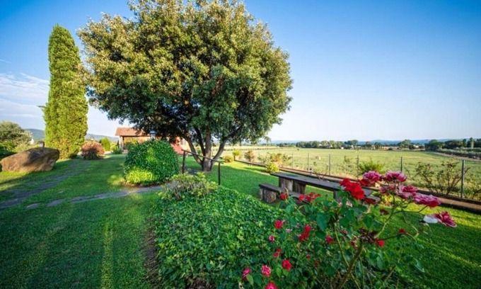 Bolsena Otro | Agriturismo L'Elce: Apartment - Ground Floor