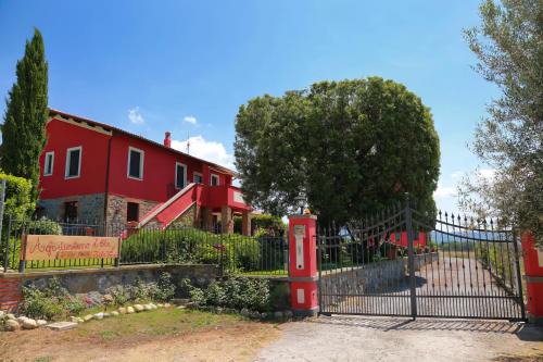 Bolsena Casa | Agriturismo L'Elce