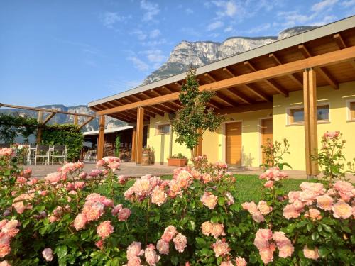 Nave San Rocco Casa | Agriturismo L' Isola di Arturo