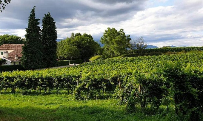 Venegazzu Casa | Agriturismo l'Eremo