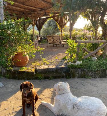 Piano di Sorrento Casa | Agriturismo L'Olivara